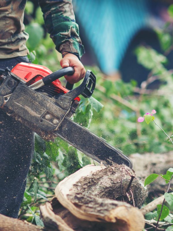 Asian man cutting trees using an electrical chainsaw