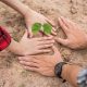 Promotion de la Biodiversité